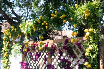 Gate / Entrance and Floral detail — Welcome Lunch decor — Alila Diwa Goa